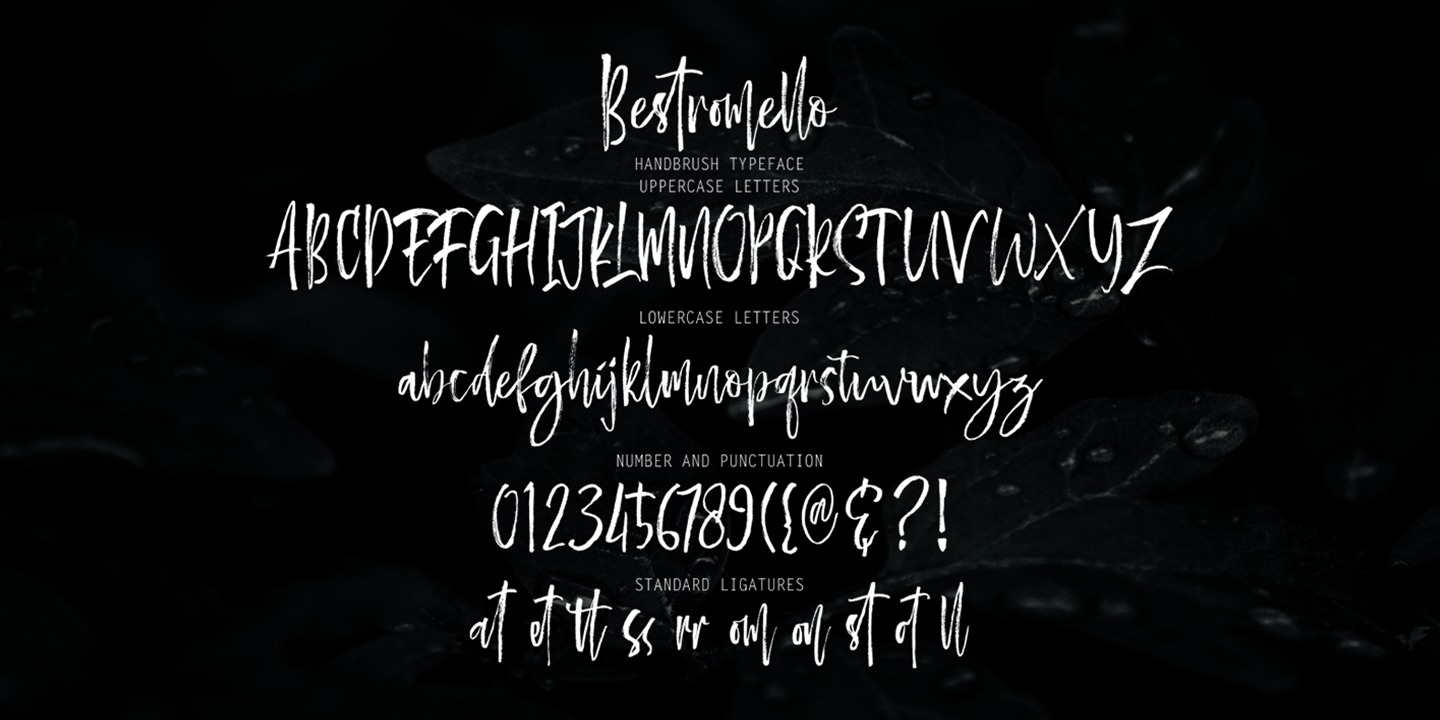 Пример шрифта Bestromello Script #2